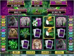 Slots Jungle Slots